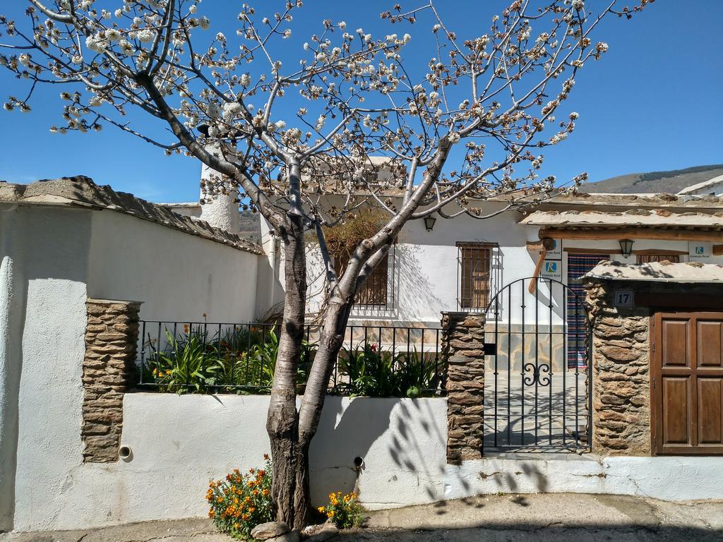 בוביון Casas Rurales Encarnita מראה חיצוני תמונה